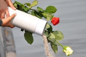 boot huren voor asverstrooiing Harlingen  - asverstrooiing_xxx