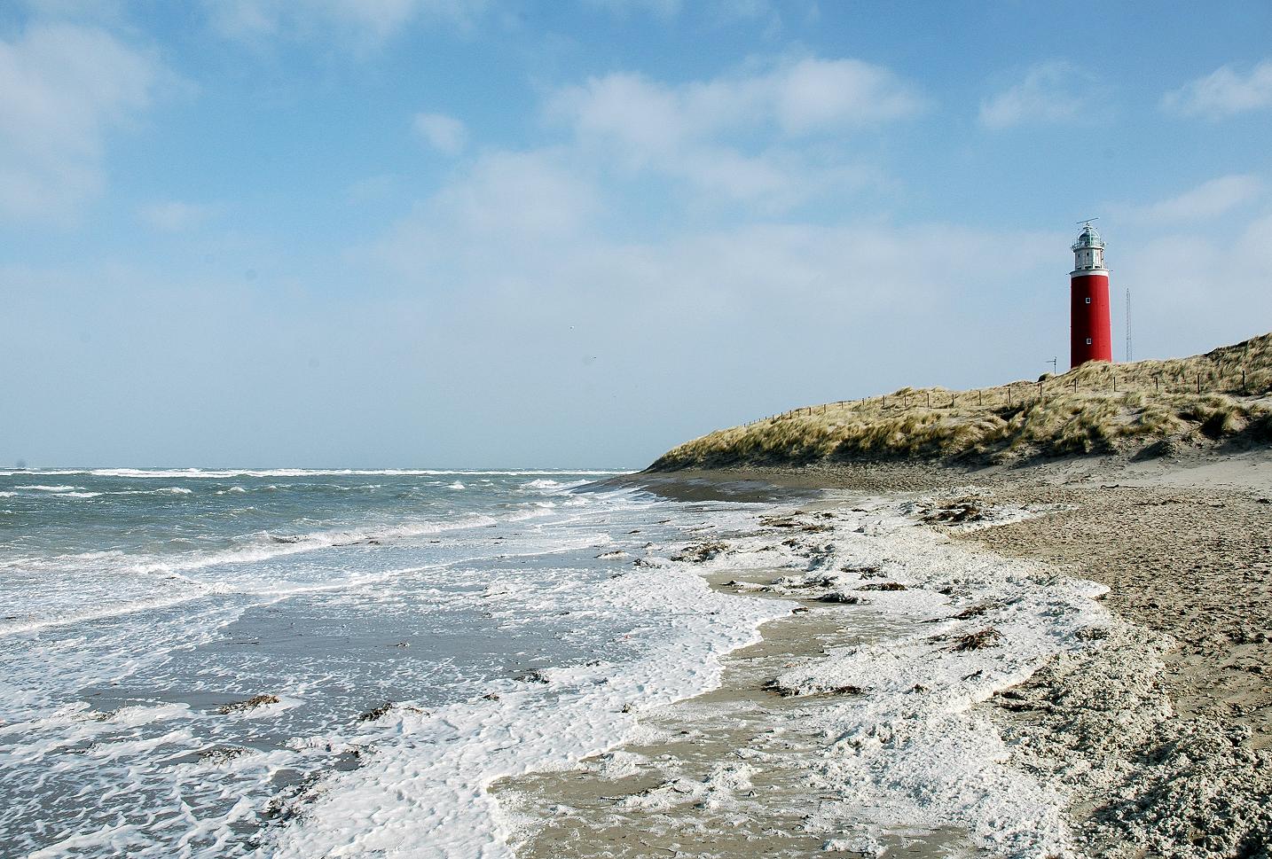 Dagtocht zeehonden Waddenzee - button_texel Dagtocht zeehonden Waddenzee - button_texel