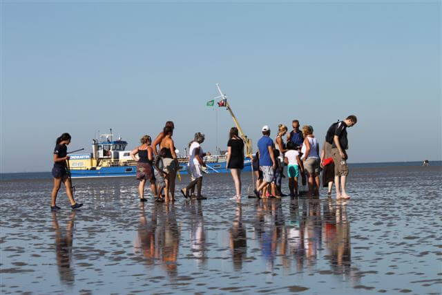 Teamuitje Harlingen Friesland - activiteiten-waddenzee_wadzwalken