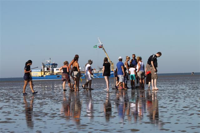 Wadrecreatie - activiteiten-waddenzee_wadzwalken Wadrecreatie - activiteiten-waddenzee_wadzwalken